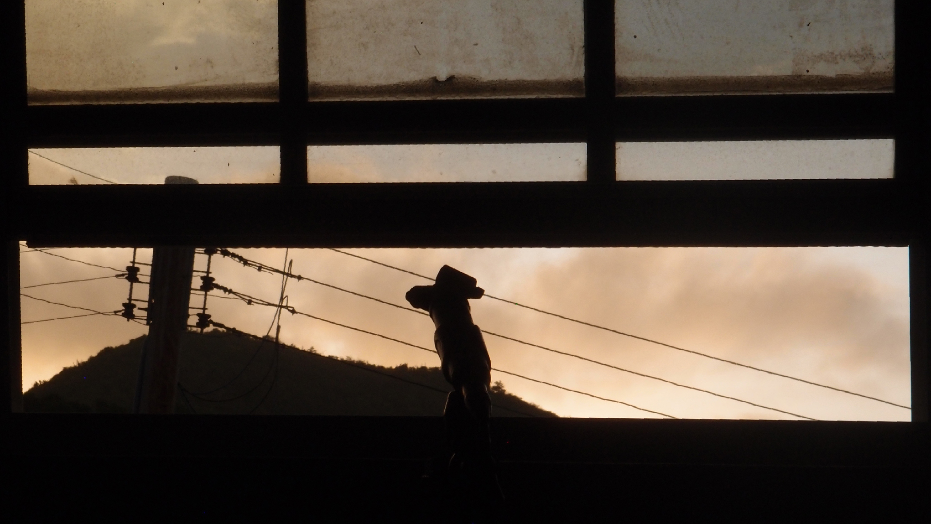 2022-10-23 05 Uhr 54 Wind (Audio)